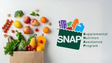 "A close-up of a person filling out an application form for the Supplemental Nutrition Assistance Program (SNAP) at a desk, with informational brochures about food assistance programs nearby."