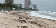 Fort lauderdale state of emergency​