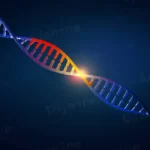 sequence mrna into trna