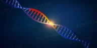 sequence mrna into trna