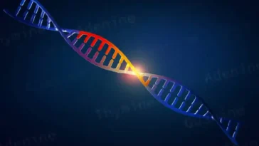 sequence mrna into trna