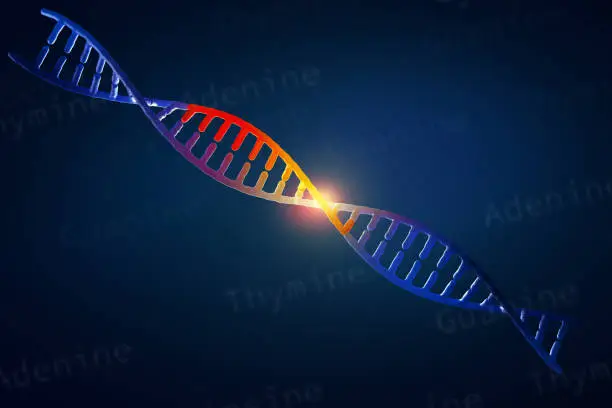 sequence mrna into trna